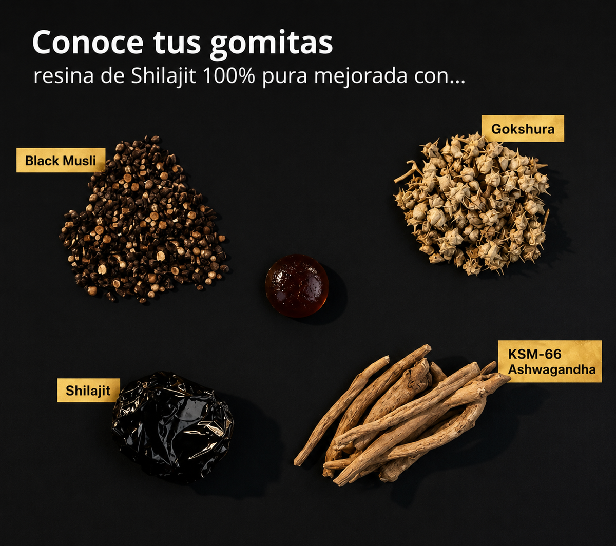 Shilajity Gomitas de Shilajit Gold Del Himalaya Con Ashwagandha, Black Musli y Gokshura